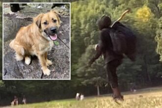 Exclusive | Crazed Prospect Park ‘dog killer’  back to his old ways, threatens to shoot pet owner