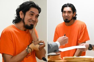 Illegal migrant who chased US attorney with knife flashes carefree smile as he pleads guilty, faces deportation