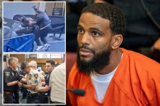 Knife-wielding maniac accused of stabbing officers in courthouse tantrum pleads not guilty as crew of cops look on