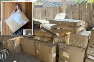 Hundreds of huge Amazon packages arrive at Calif. woman’s doorstep for over a year after Chinese seller lists her home as return address