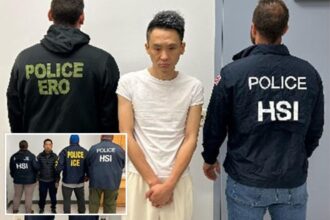 ICE nabs ‘dirtbag’ Chinese illegal immigrants preying on elderly New Yorkers