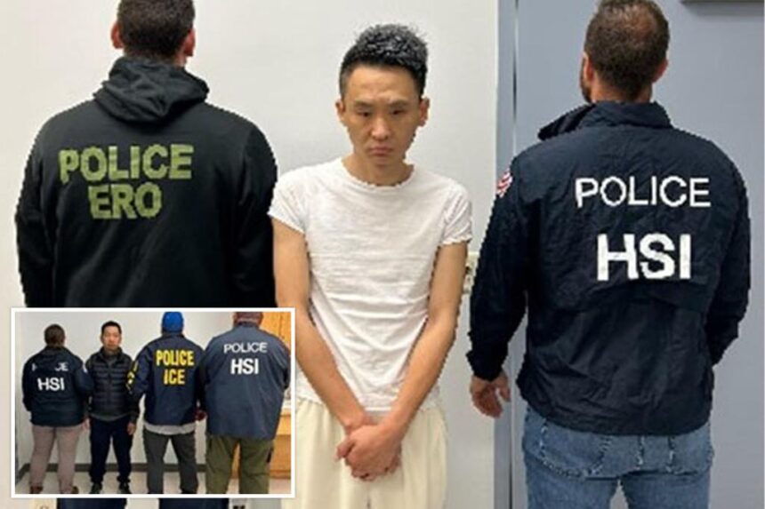 ICE nabs ‘dirtbag’ Chinese illegal immigrants preying on elderly New Yorkers