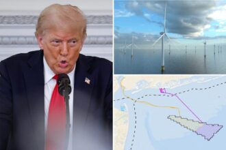 NYC fishermen beg Trump to rethink offshore windfarm OK’d during Biden admin
