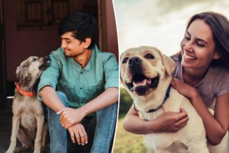 Shocking number of pet owners would date AI versions of their animals, study reveals