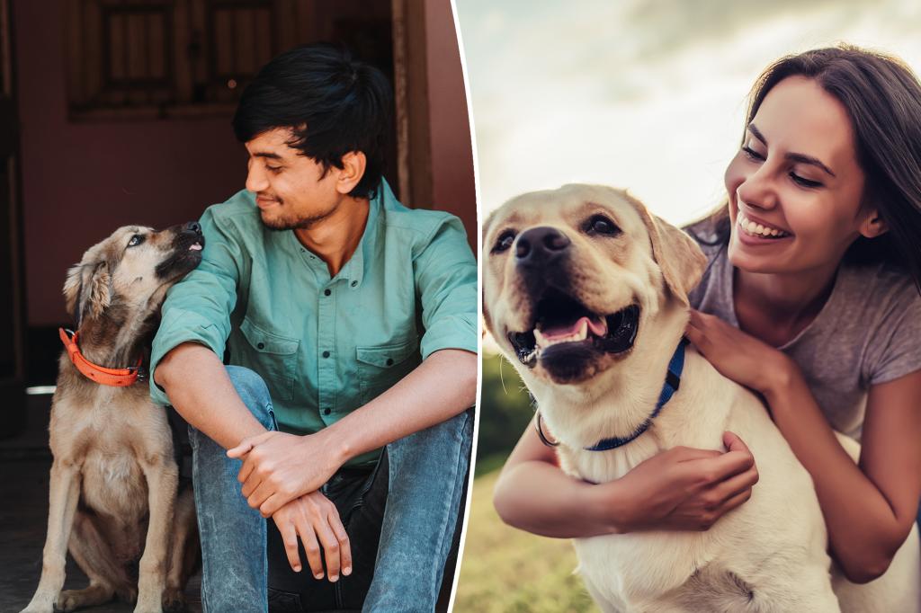 Shocking number of pet owners would date AI versions of their animals, study reveals