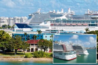 4 Carnival Cruise ship passengers detained in Bermuda for smuggling ‘illegal’ drugs, including one used to tranquilize elephants