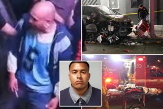 Felon who allegedly barreled car through LA nightclub crowd faces 37 attempted murder charges