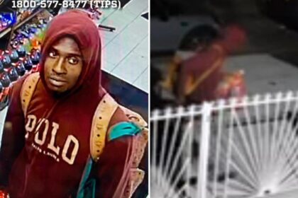NYC brute admits he kicked friend’s dog to death, torched its body — but he’s still released from jail: DA