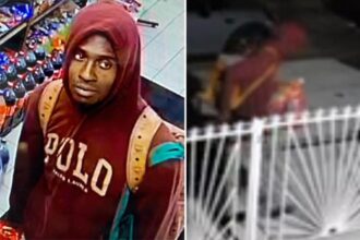 Maniac caught on video setting pit bull on fire on NYC street is arrested: cops