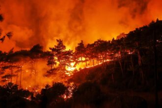 Syria appeals to EU for help battling massive wildfires in Latakia