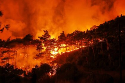 Syria appeals to EU for help battling massive wildfires in Latakia