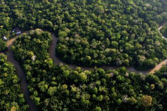 Nineteen EU countries call for EU Deforestation Law ‘simplification’