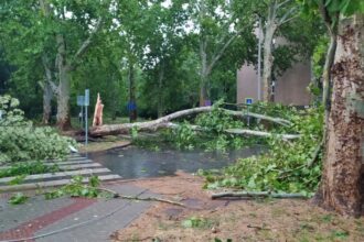 Public transport disrupted in Hungary as storms batter eastern Europe