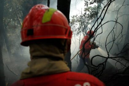 More than 1,000 firefighters battle three major blazes in Portugal
