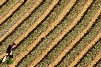 Greek farm fund scandal to impact discharge of Commission’s budget