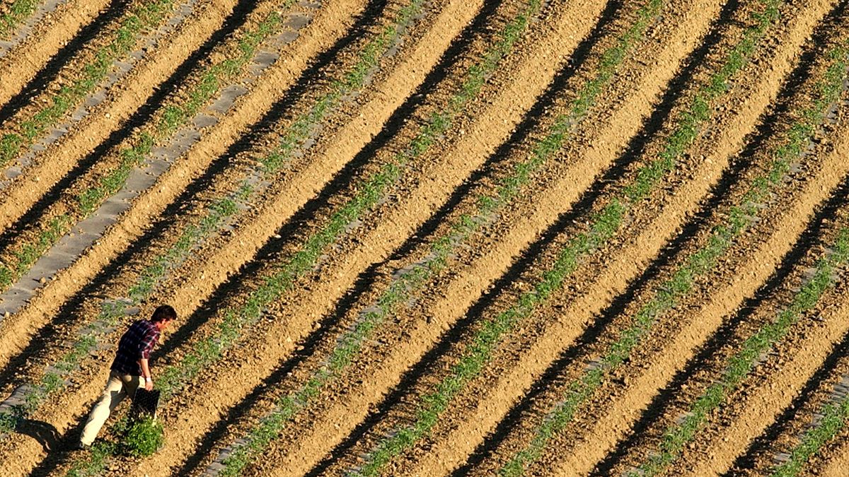 Greek farm fund scandal to impact discharge of Commission’s budget