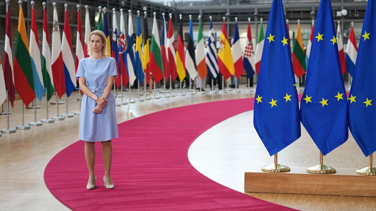 EU’s ‘reluctance’ to act over Israel criticised by former ambassadors