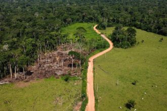 EU deforestation law changes could aid illegal Russian timber trade