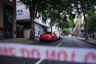 Man arrested after two killed in central London stabbing