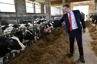 5 key ideas behind the EU Commission’s new farming rulebook