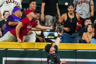 Diamondbacks ban loyal season-ticket holder after repeated interference incidents