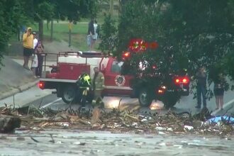 Family-owned Texas restaurant works to feed first responders: ‘We’re thankful for them’