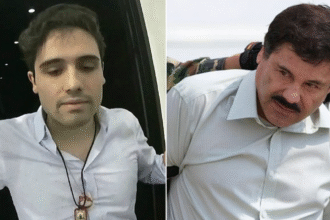War on cartels yields results as ‘El Chapo’ heir confesses to running violent drug empire