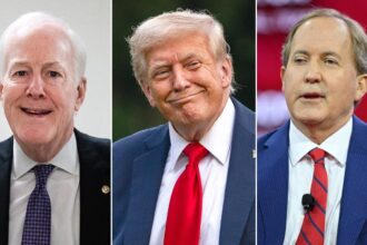 Cornyn says he’s spoken to Trump about a potential endorsement: ‘If he endorsed me, the race would be over’