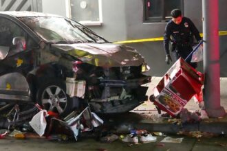 Driver plows through Los Angeles crowd, injuring 30 people