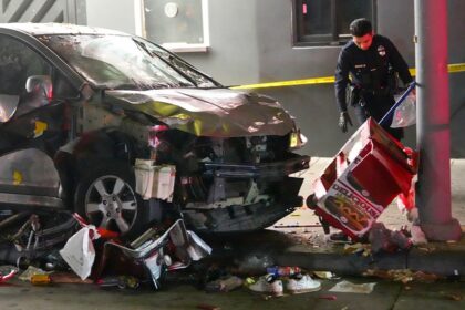 Driver plows through Los Angeles crowd, injuring 30 people