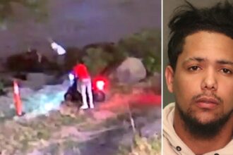 Off-duty CBP officer shot during attempted robbery involving previously-deported illegal immigrant: DHS