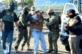 Border Patrol says some illegal migrants arrested in Sacramento raid had criminal histories