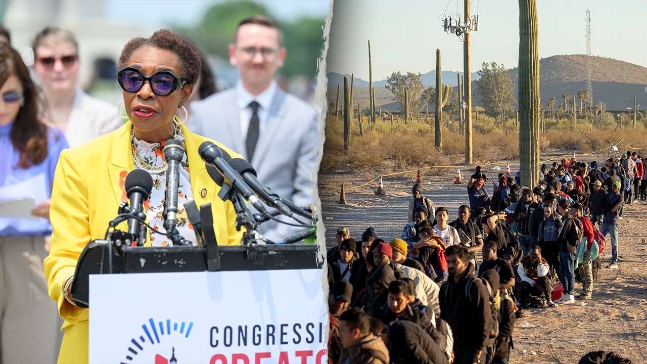 Immigrants needed for ‘redistricting purposes,’ House Dem admits in viral clip: ‘Quiet part out loud’