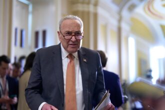 Schumer says century-old law forces Trump DOJ, FBI to release Jeffrey Epstein files by August deadline