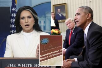 Trump-Russia probe whistleblower ‘pressured’ by Obama intel officials to sign off of 2016 election report: ‘I need you to say you agree’ 