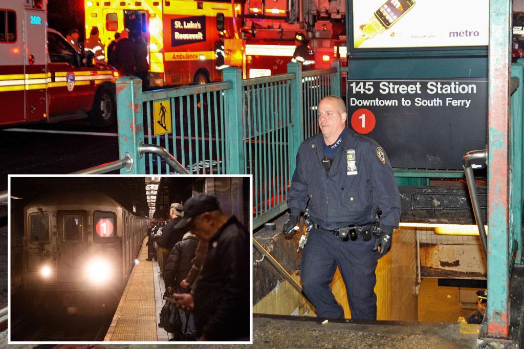 Maniac stabs man sleeping on NYC train ‘at least’ 3 times in the head, sparking bloody brawl