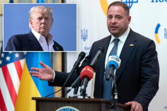 Exclusive | Top Zelensky official praises Trump for giving Putin 10 days to end Ukraine invasion: ‘When America is serious, Russia backs down’