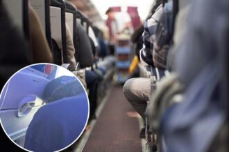 Shocking in-flight act by Southwest flyer leaves seatmate stunned