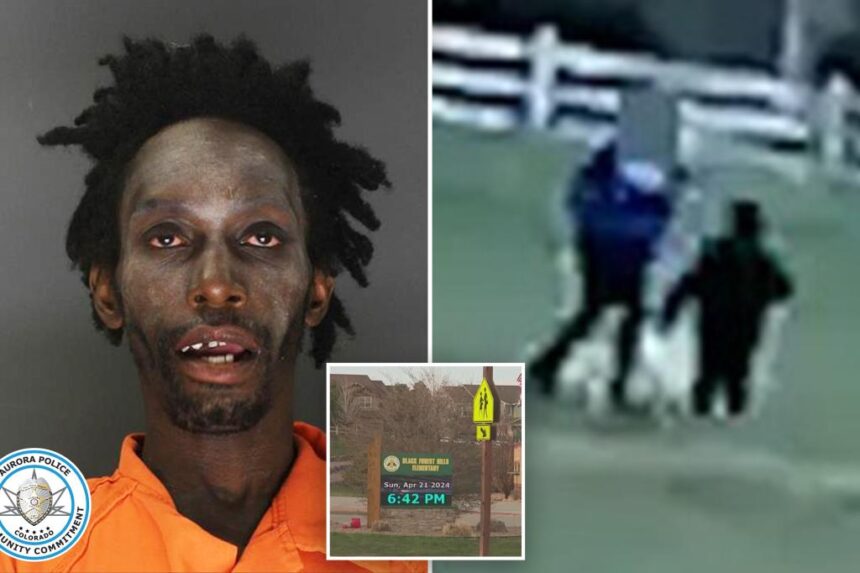 Registered sex offender to walk free after elementary school kidnapping attempt, prosecutors say