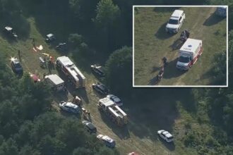 New Jersey plane crash at Cross Keys Airport leaves at least 5 injured