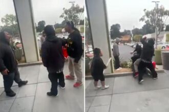 Two Pokémon card fanatics arrested over stabbing in line at California GameStop