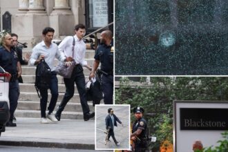 Blackstone executive among four people killed in Midtown mass shooting: report