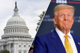 Trump rides major wave of momentum going into July Fourth after Iran, BBB, Supreme Court and lawsuit victories