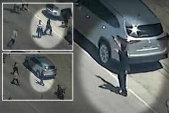 Protester fires gun at federal agents in chaotic clash during  California pot farm raid: wild video