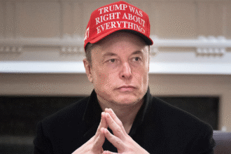 Elon Musk connects with indie Andrew Yang on billionaire former Trump ally’s third party push