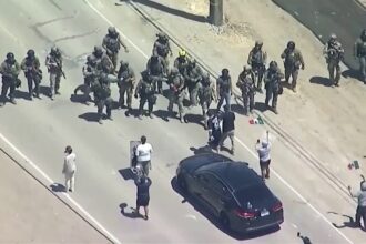 Immigration operation at California cannabis farms leads to clash between federal agents and protesters