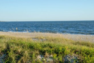 Teen run over by a truck while sunbathing on the beach