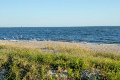 Teen run over by a truck while sunbathing on the beach