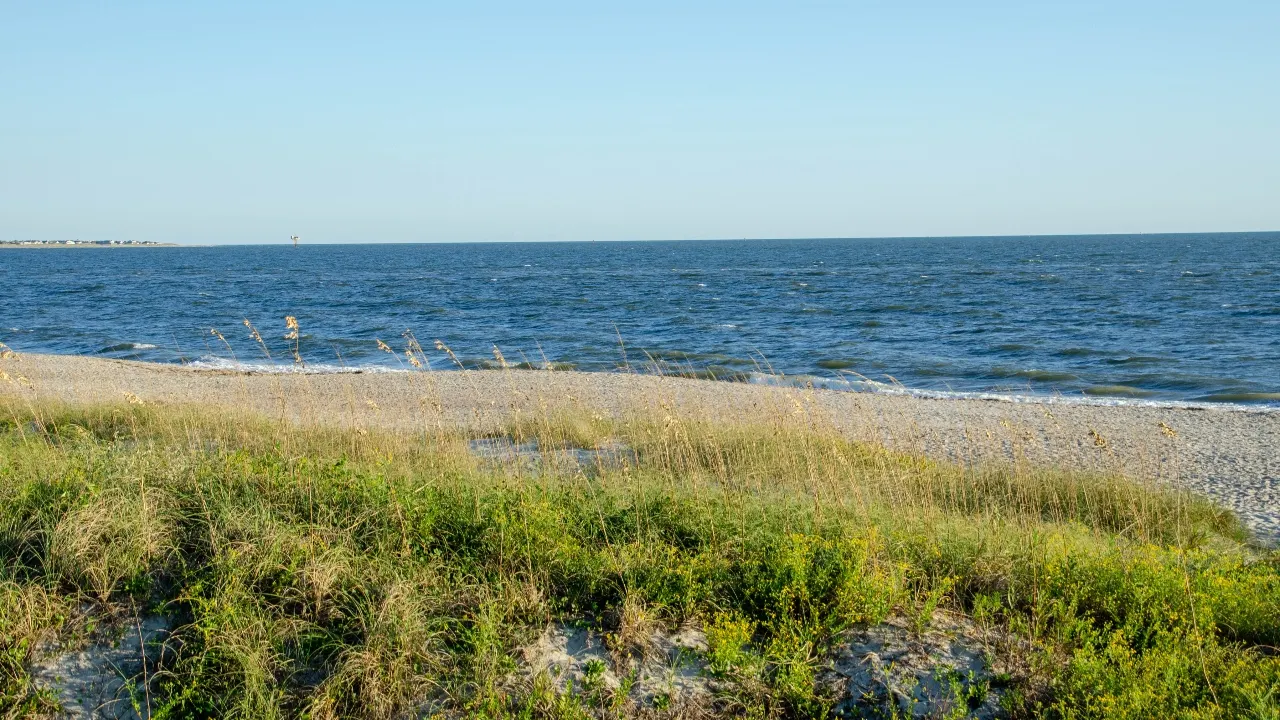 Teen run over by a truck while sunbathing on the beach