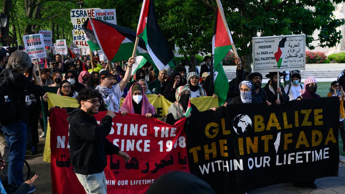 Pro-Palestinian protesters